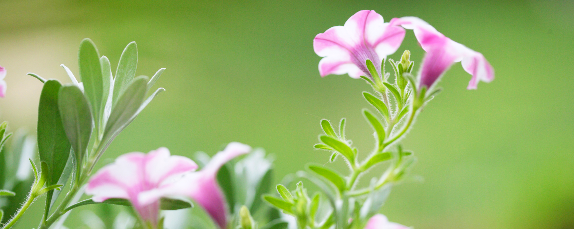 個人情報保護方針